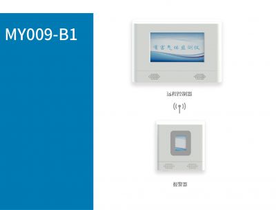 B型氣體監測儀+遠程控制器